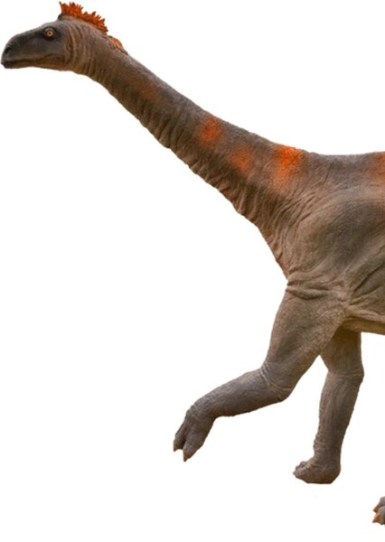 Isanosaurus