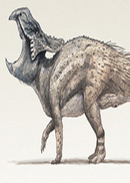 Ischioceratops