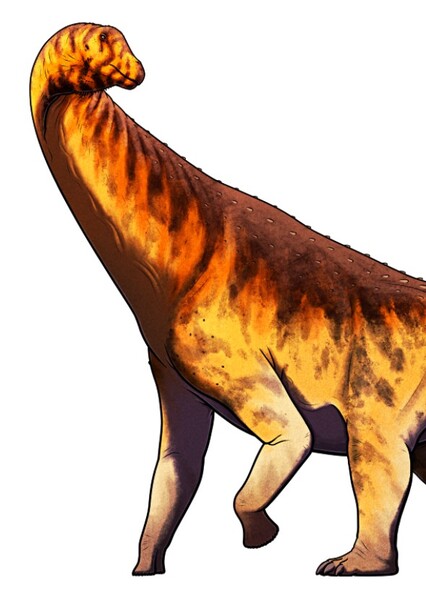 Isisaurus photo
