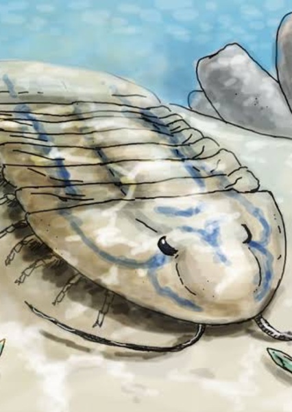 Isotelus
