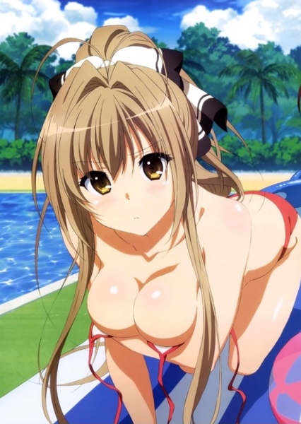 Isuzu Sento photo