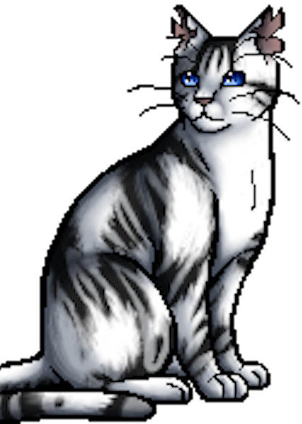 Ivypool (Warrior Cats) photo