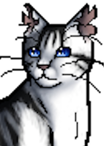 Ivypool (Warrior Cats) photo