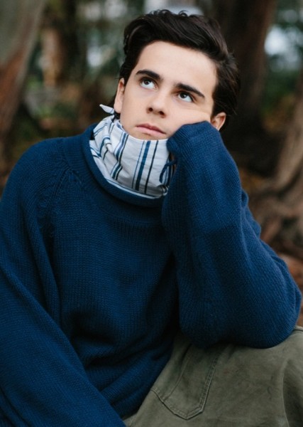 Jack Dylan Grazer photo
