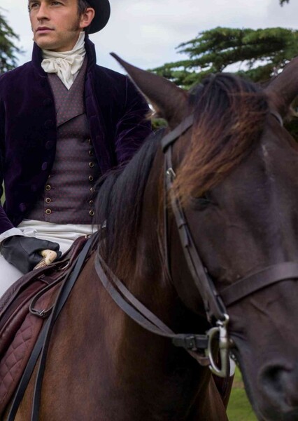 Jack (Jonathan Bailey's Horse)