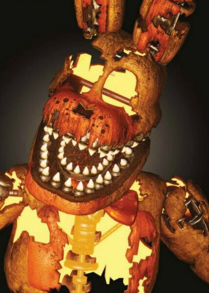 Jack-O-Bonnie photo