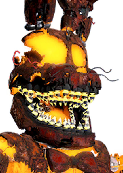 Jack-O-Bonnie photo