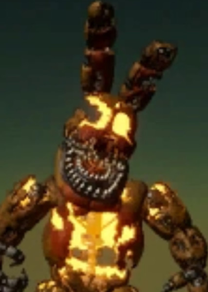 Jack-O-Bonnie photo