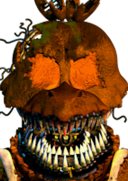 Jack-O-Chica photo