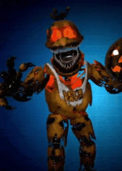 Jack-O-Chica photo