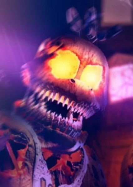 Jack-O-Chica photo