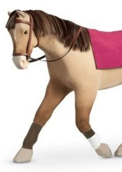 Jackson (American Girl) photo