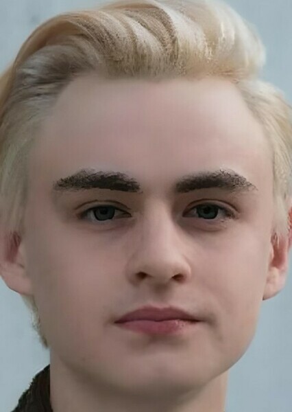 Jaeden Lieberher Martell photo