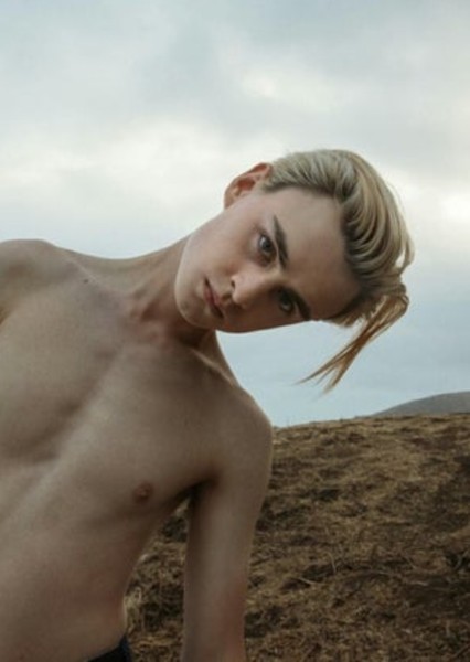 Jaeden Martell photo