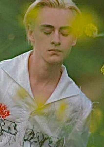 Jaeden Martell photo