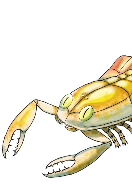 Jaekelopterus photo