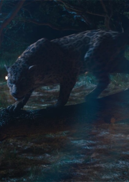 Jaguar (Animal) photo