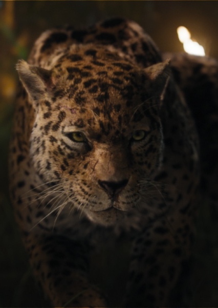 Jaguar (Animal)
