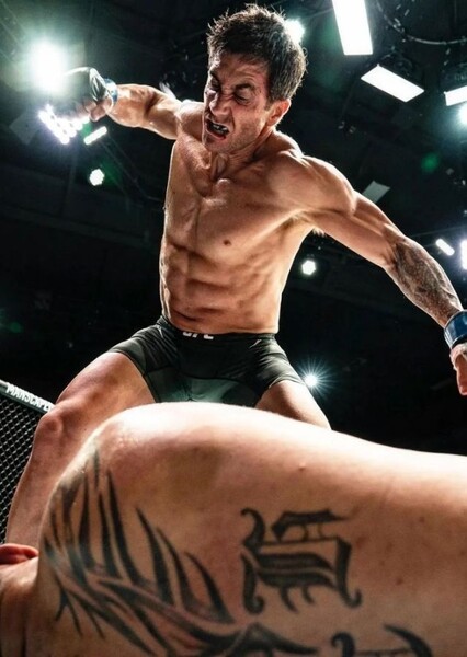 Jake Gyllenhaal photo