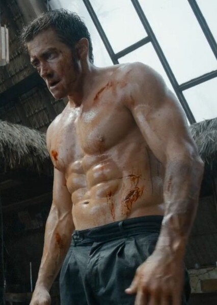 Jake Gyllenhaal photo