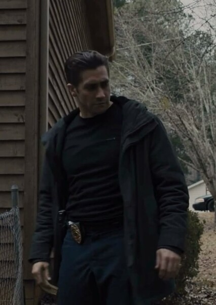 Jake Gyllenhaal photo