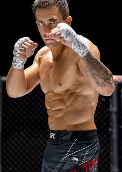 Jake Gyllenhaal photo
