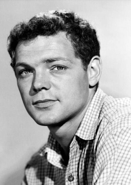 James MacArthur photo