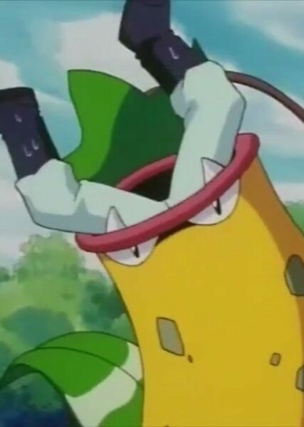 James (Pokemon) photo