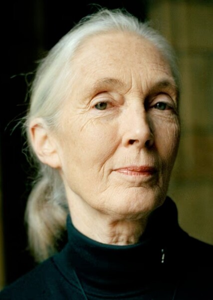 Jane Goodall