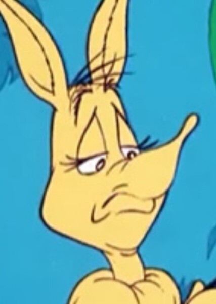 Jane Kangaroo