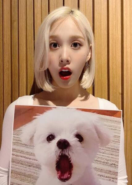 J photo