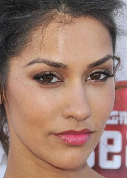 Janina Gavankar photo