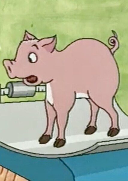 Janis/Jamie, the Little Pig