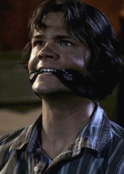 Jared Padalecki photo