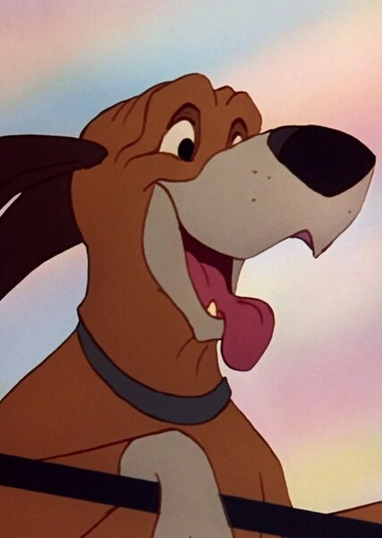Jason Marsden photo