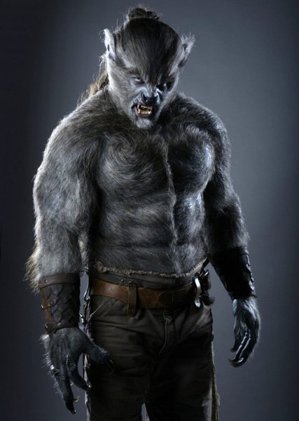 Jason Momoa photo