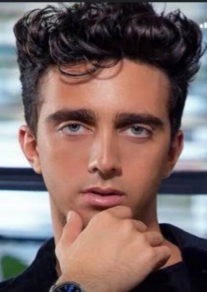 Harrison Andor