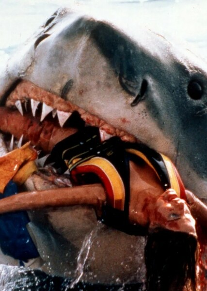 Jaws photo