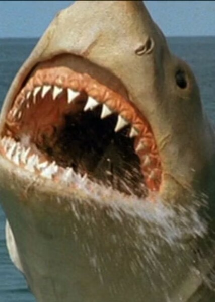 Jaws