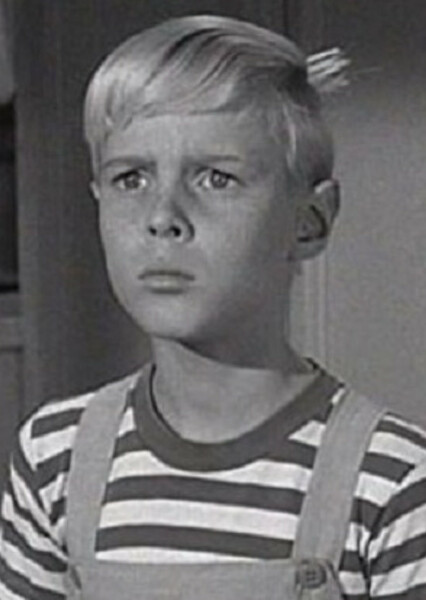 Jay North