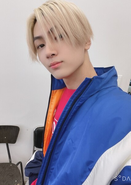 Jay photo