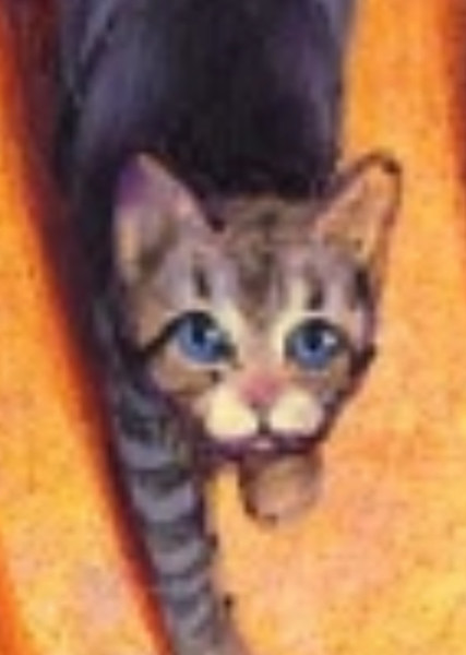 Jayfeather (Warrior Cats)