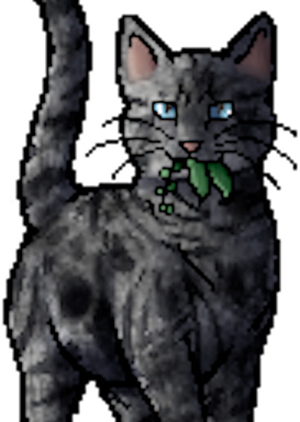 Jayfeather (Warrior Cats) photo