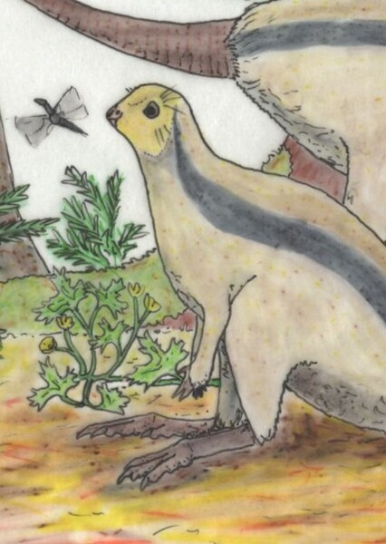 Jeholosaurus