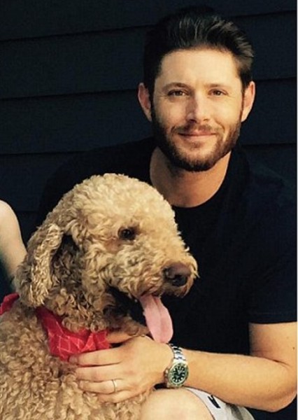 Jensen Ackles photo