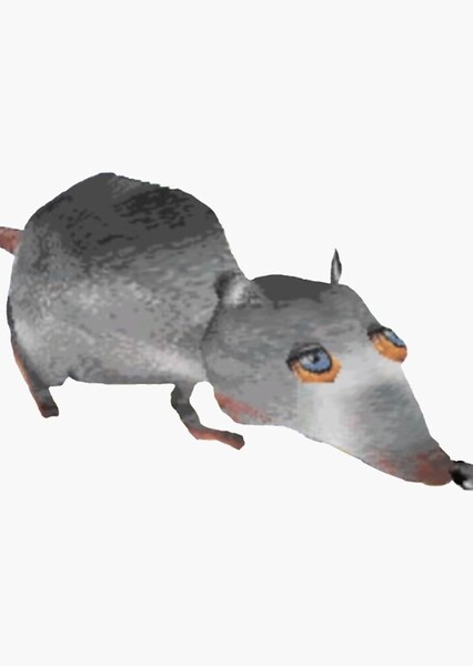 Jerma photo