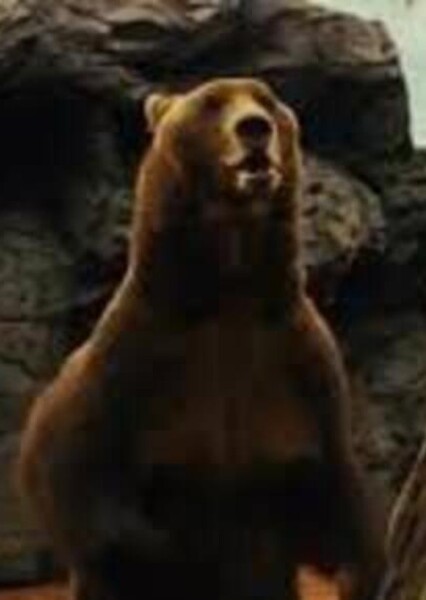 Jerome the Bear (Zookeeper)