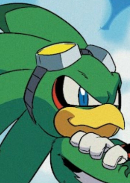 Jet the Hawk photo