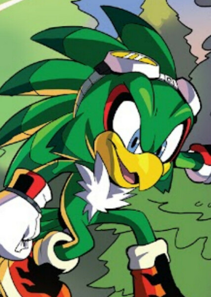 Jet the Hawk photo