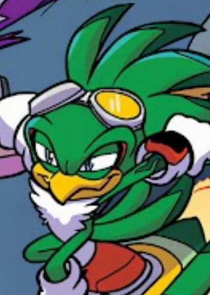 Jet the Hawk photo